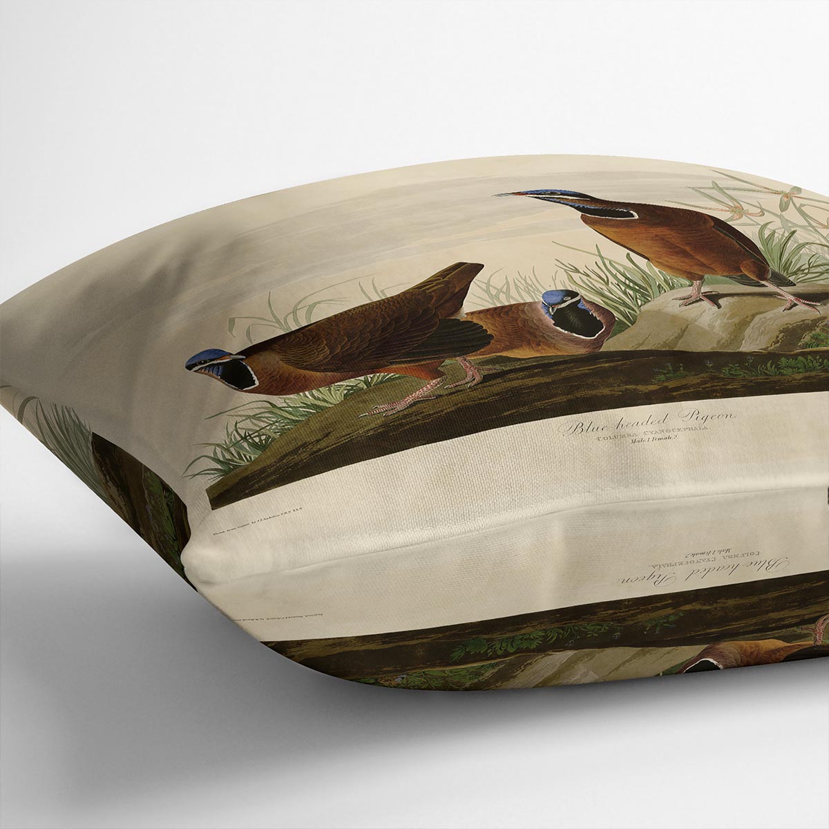 Blue headed Pigeon by Audubon Cushion