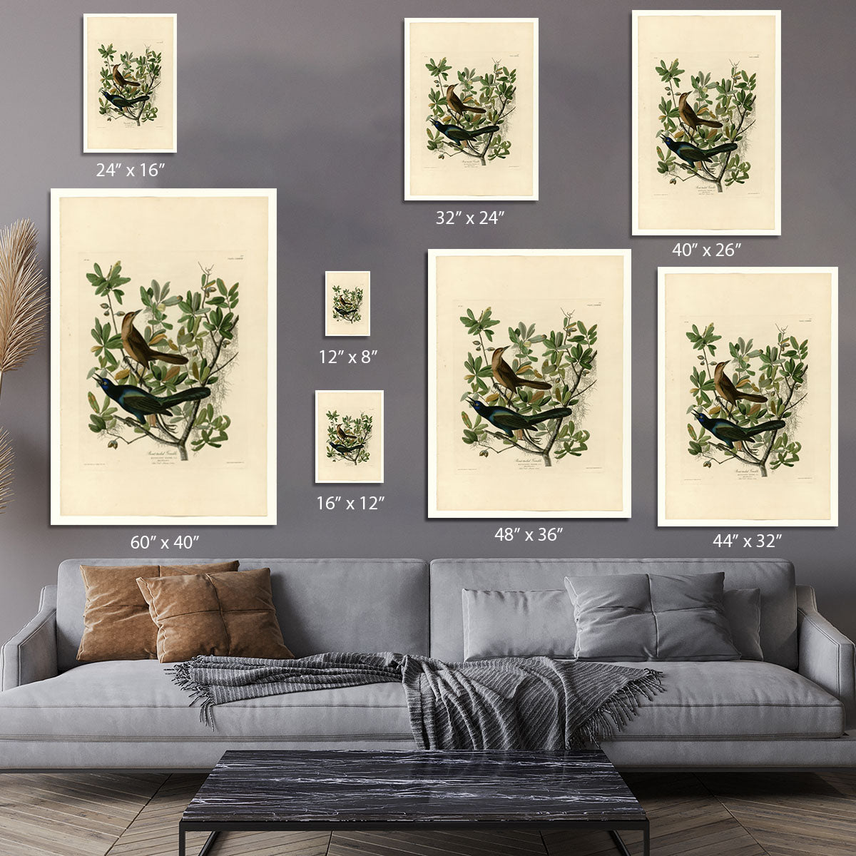 Boat tailed Grackle by Audubon Canvas Print or Poster - Canvas Art Rocks - 7