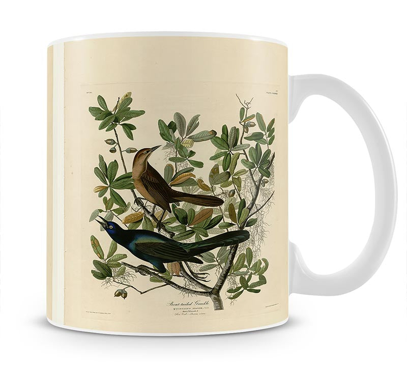 Boat tailed Grackle by Audubon Mug - Canvas Art Rocks - 1