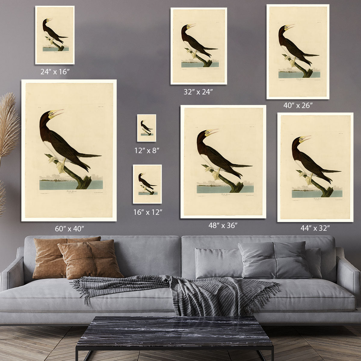 Booby Gannet by Audubon Canvas Print or Poster - Canvas Art Rocks - 7