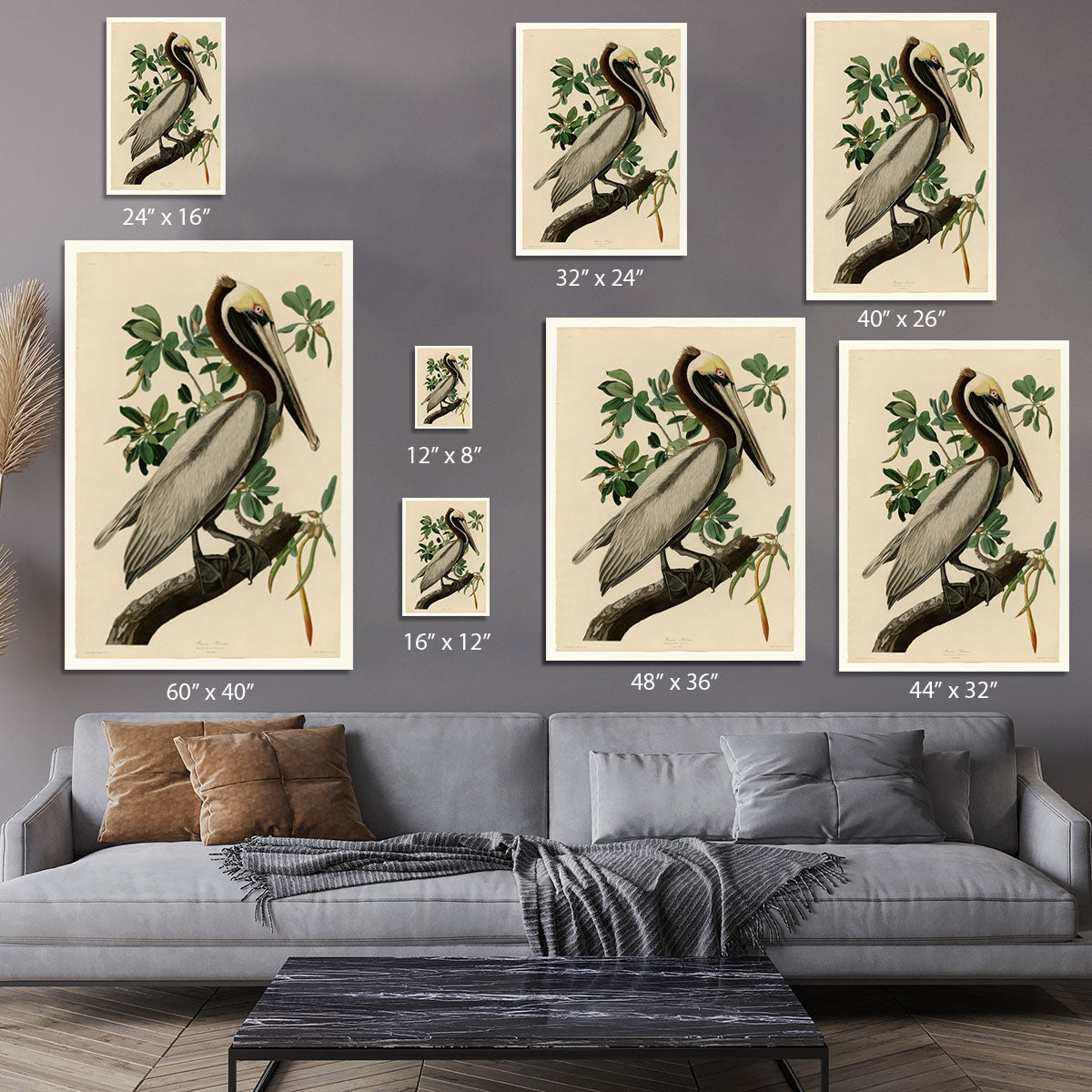 Brown Pelican 2 by Audubon Canvas Print or Poster - Canvas Art Rocks - 7