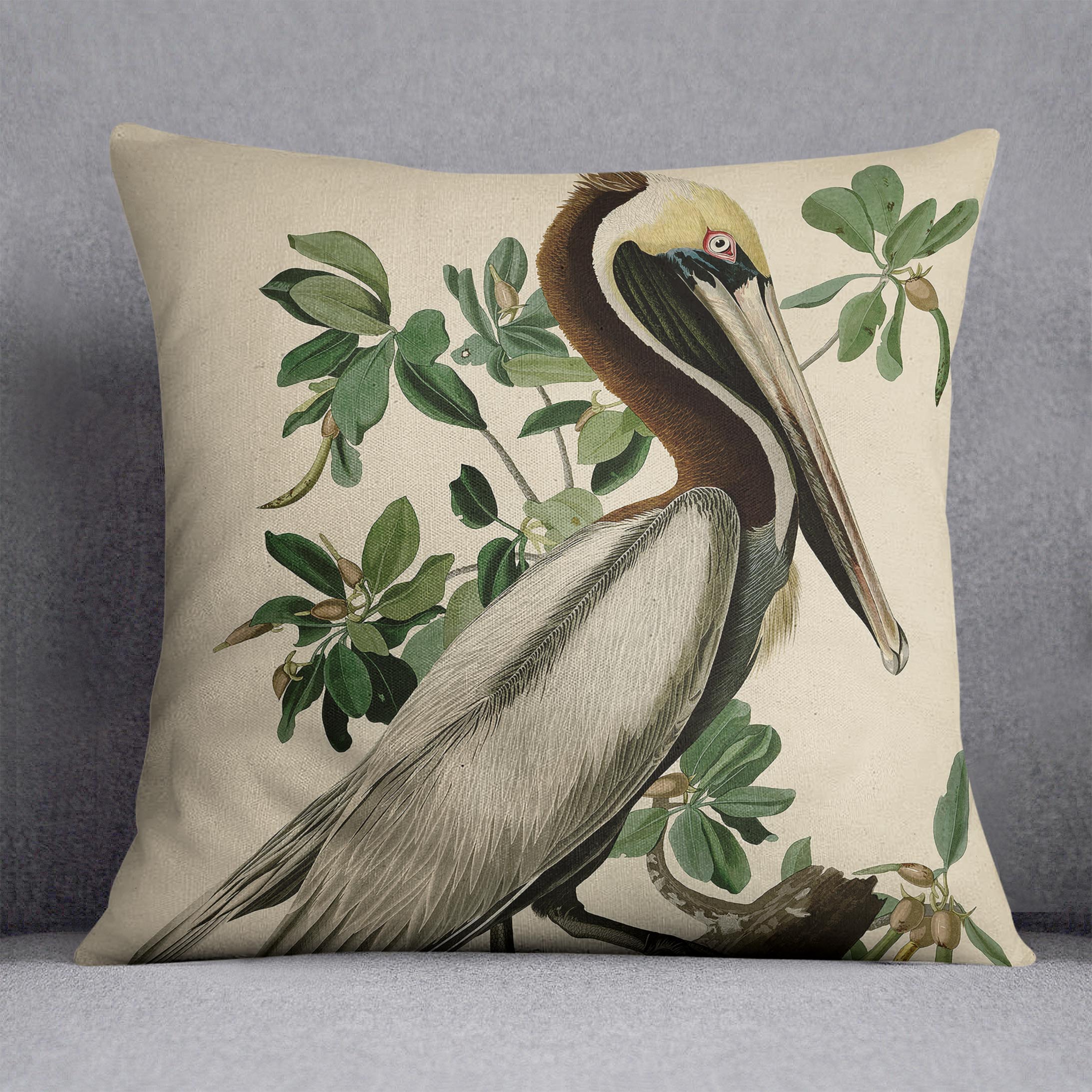 Brown Pelican 2 by Audubon Cushion