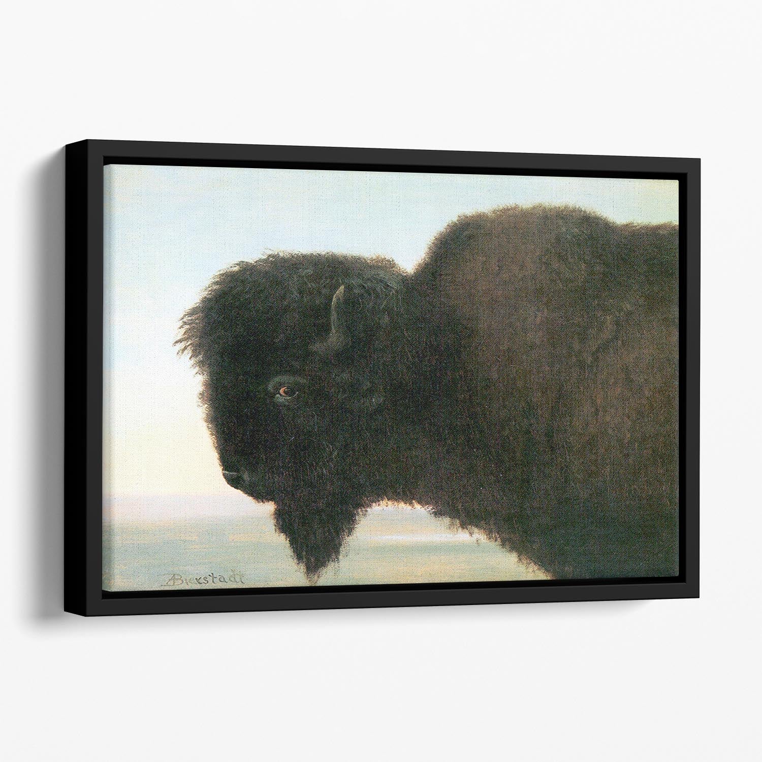 Buffalo Head by Bierstadt Floating Framed Canvas - Canvas Art Rocks - 1