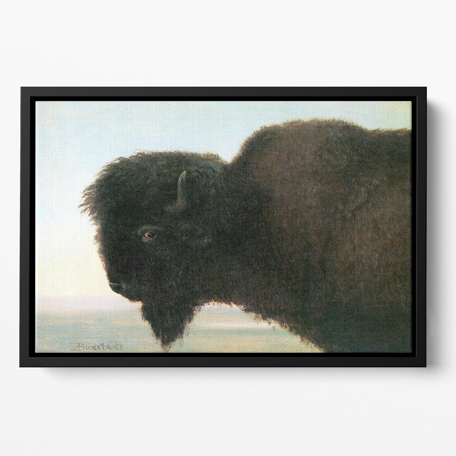 Buffalo Head by Bierstadt Floating Framed Canvas - Canvas Art Rocks - 2