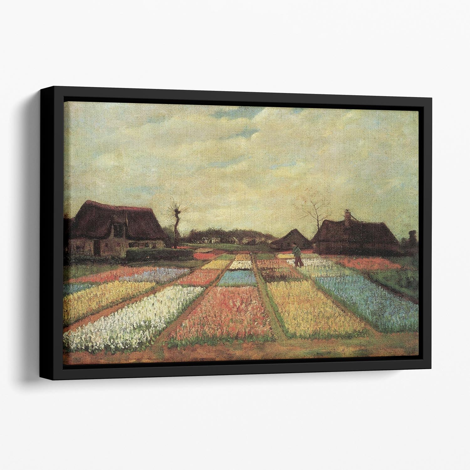 Bulb Fields by Van Gogh Floating Framed Canvas
