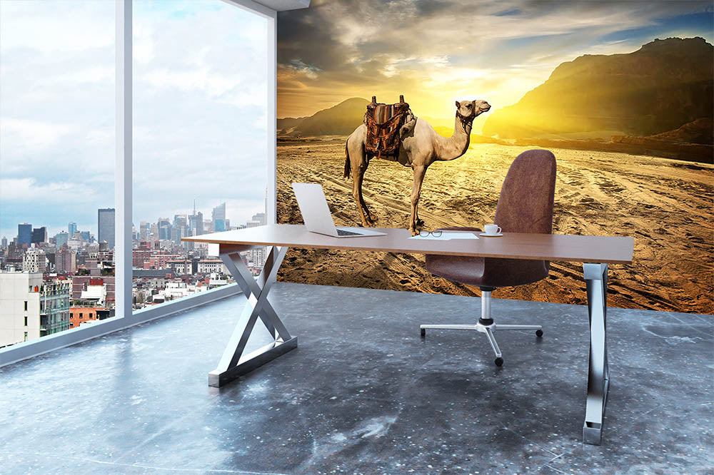 Camel in sandy desert near mountains at sunset Wall Mural Wallpaper - Canvas Art Rocks - 3