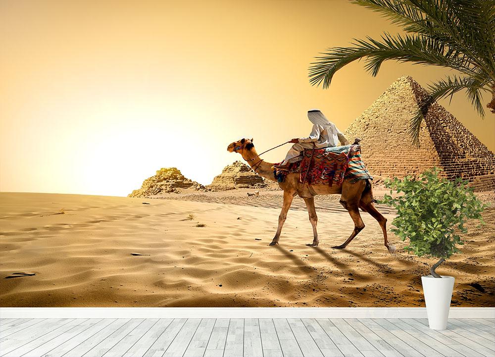 Camel near pyramids desert of Egypt Wall Mural Wallpaper - Canvas Art Rocks - 4