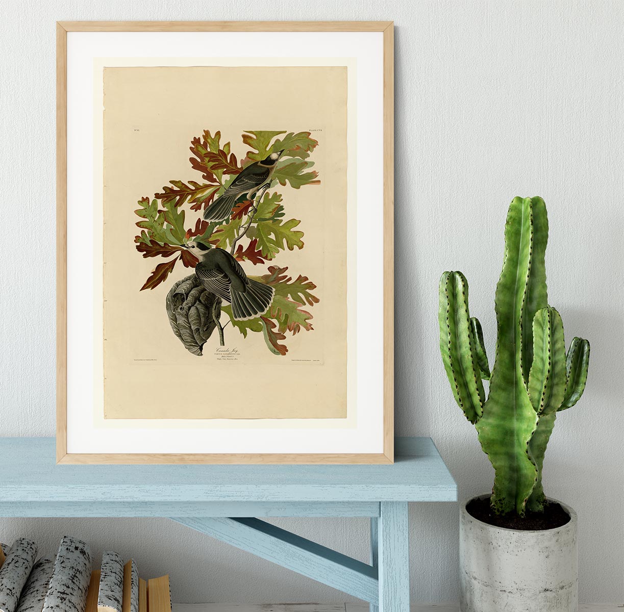 Canada Jay by Audubon Framed Print - Canvas Art Rocks - 3