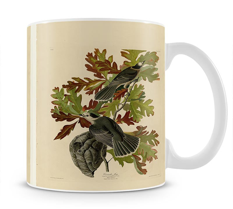 Canada Jay by Audubon Mug - Canvas Art Rocks - 1