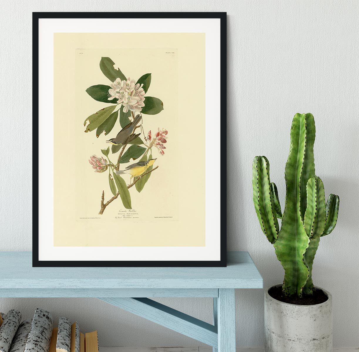 Canada Warbler by Audubon Framed Print - Canvas Art Rocks - 1