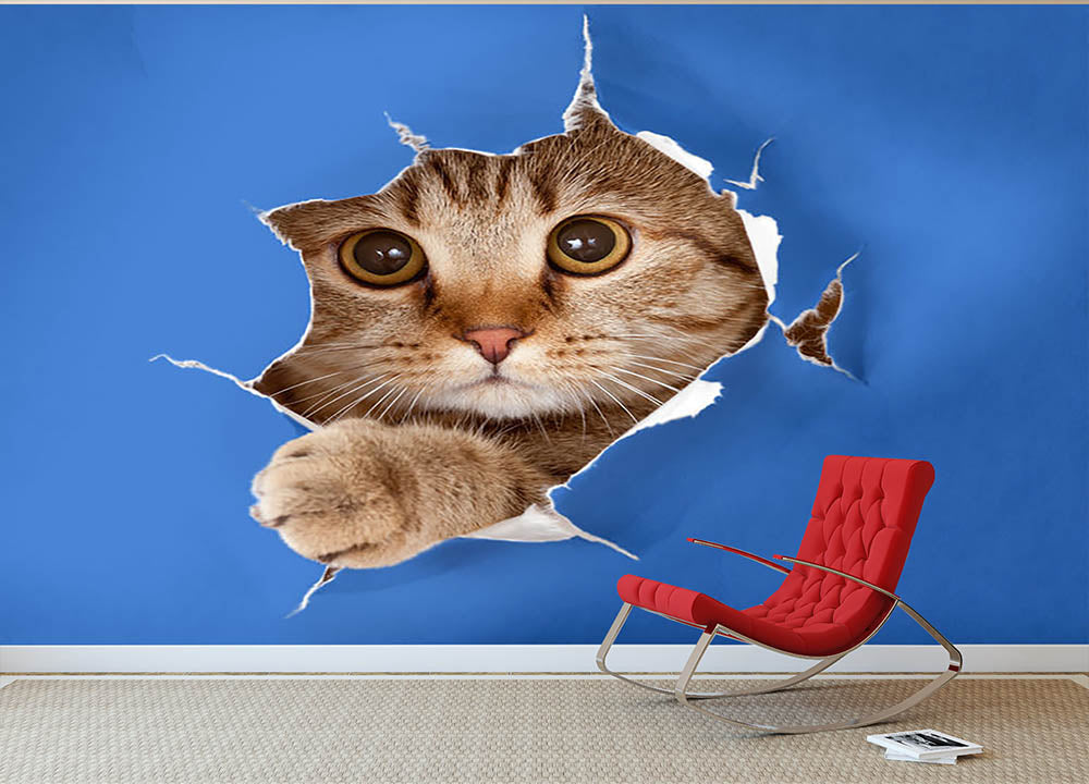Cat in blue chromakey paper hole Wall Mural Wallpaper - Canvas Art Rocks - 2