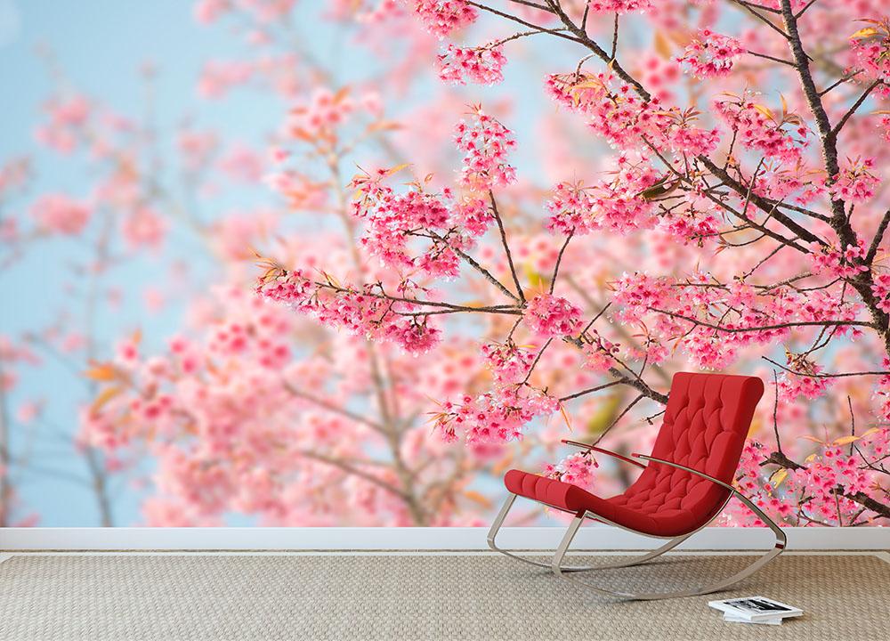 Cherry Blossom Wall Mural Wallpaper - Canvas Art Rocks - 2
