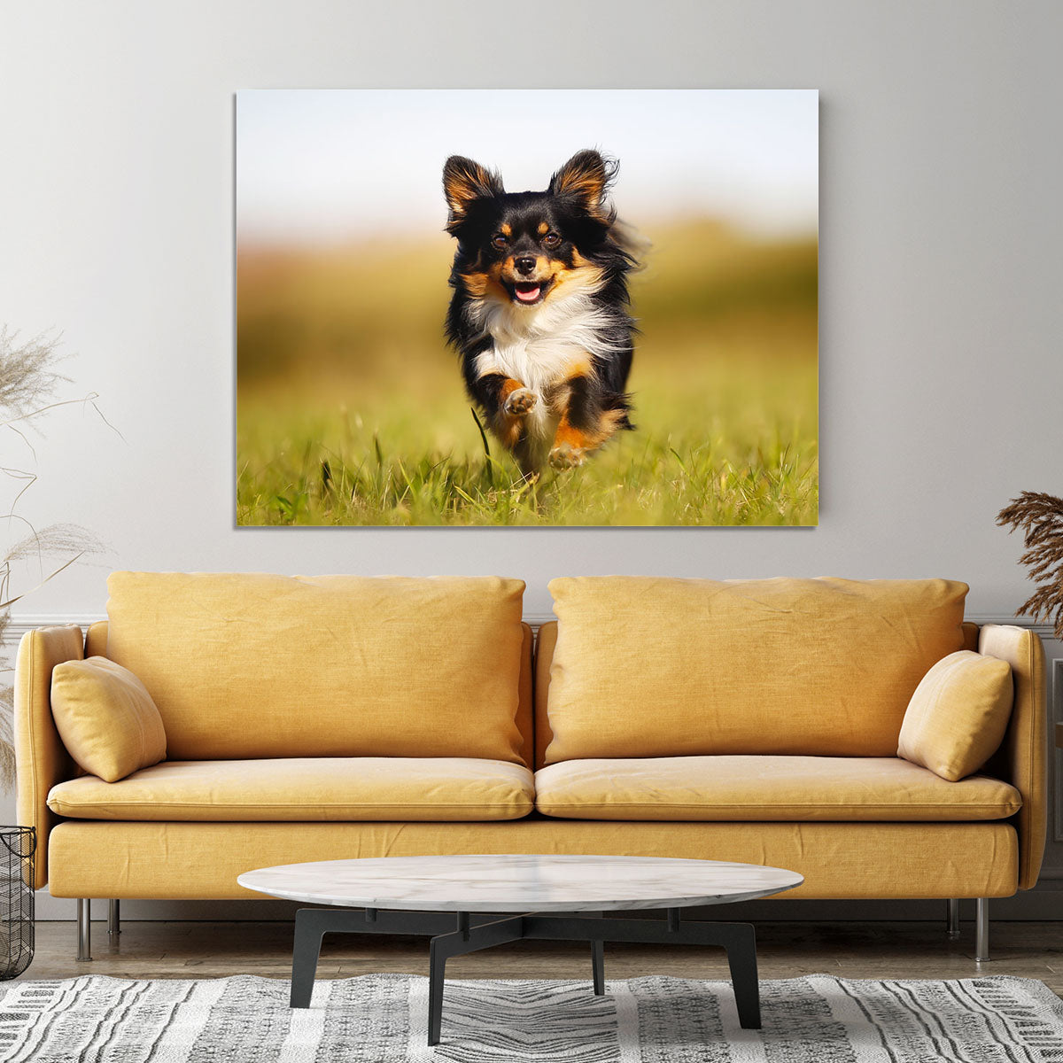 Chihuahua dog running towards the camera in a grass field Canvas Print or Poster - Canvas Art Rocks - 4
