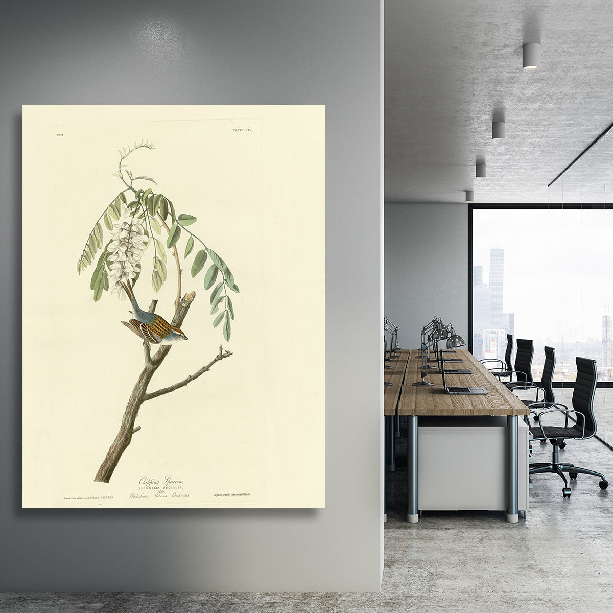 Chipping Sparrow by Audubon Canvas Print or Poster - Canvas Art Rocks - 3