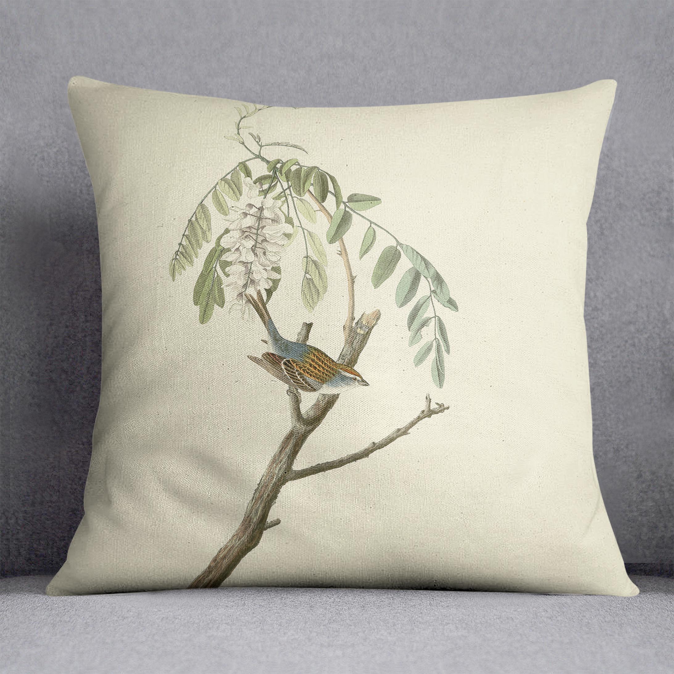Chipping Sparrow by Audubon Cushion