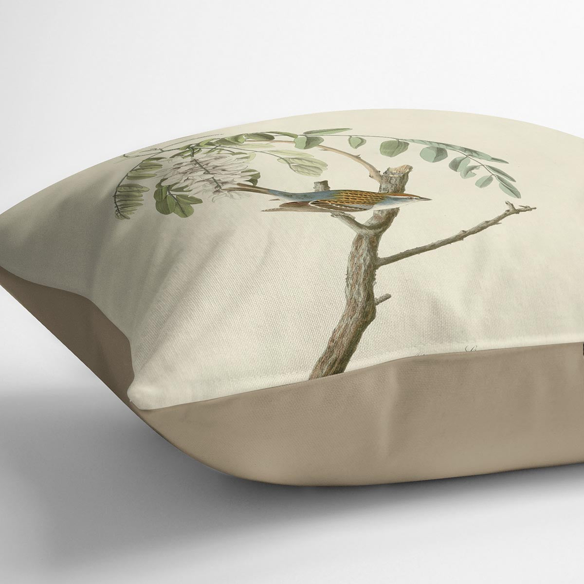 Chipping Sparrow by Audubon Cushion