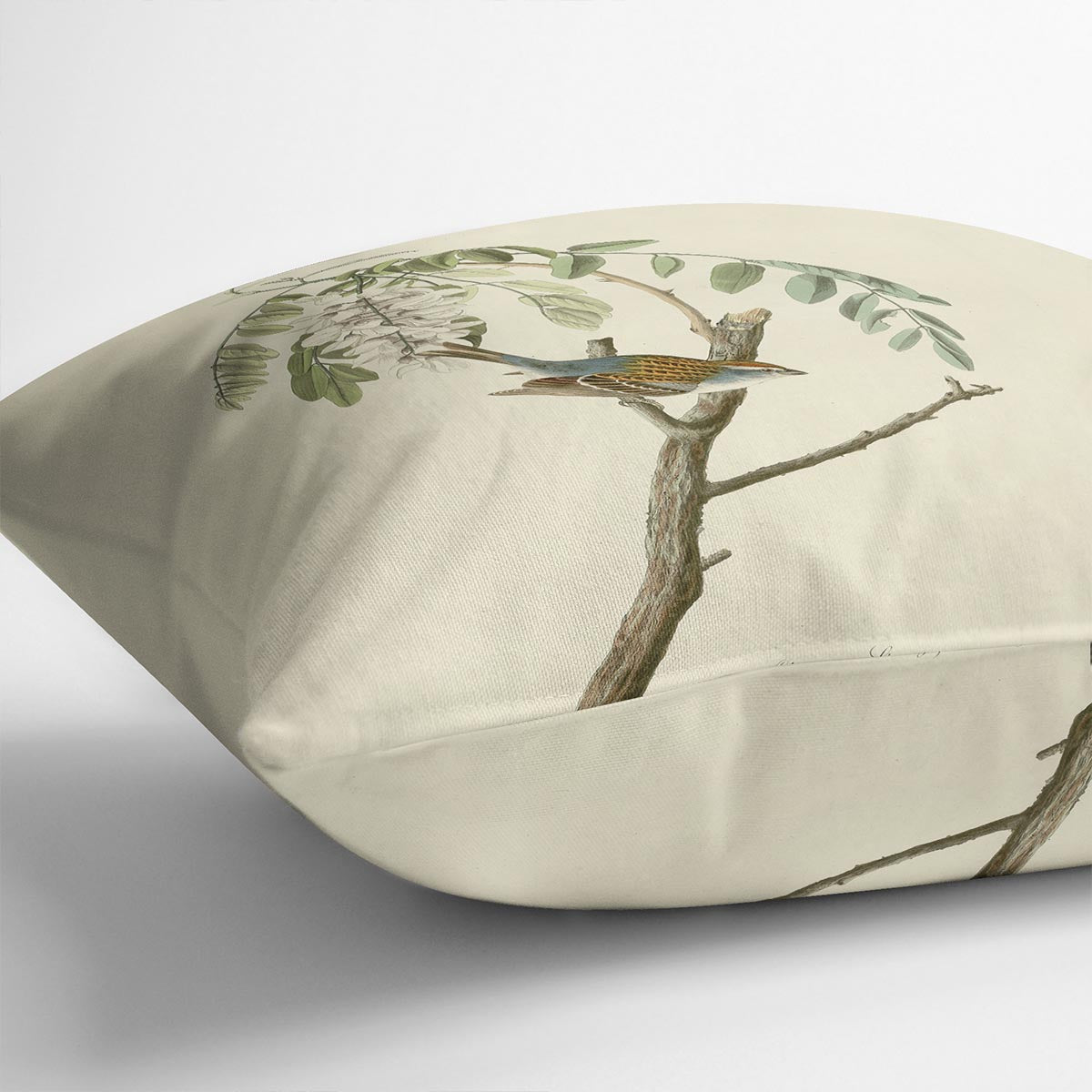 Chipping Sparrow by Audubon Cushion