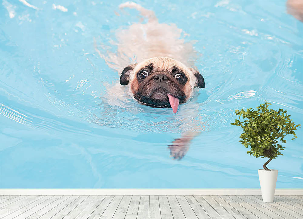 Close-up a cute dog puppy Pug Wall Mural Wallpaper - Canvas Art Rocks - 4