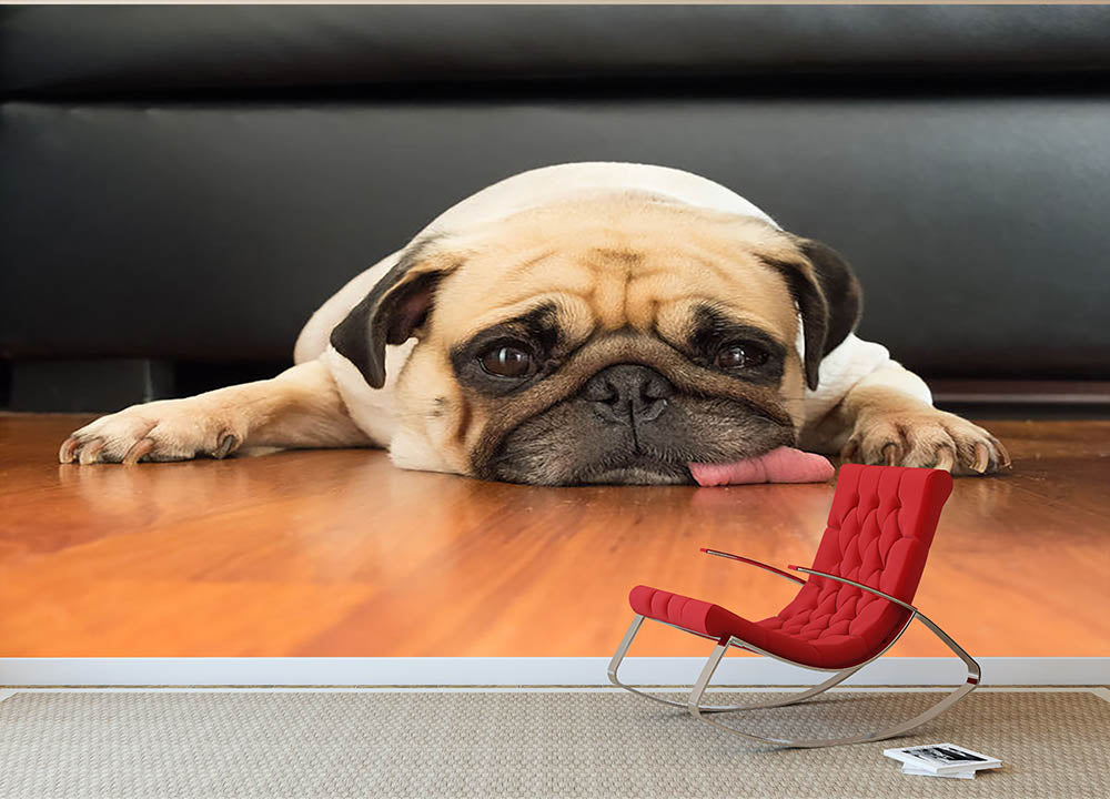 Close-up face of Cute pug Wall Mural Wallpaper - Canvas Art Rocks - 2