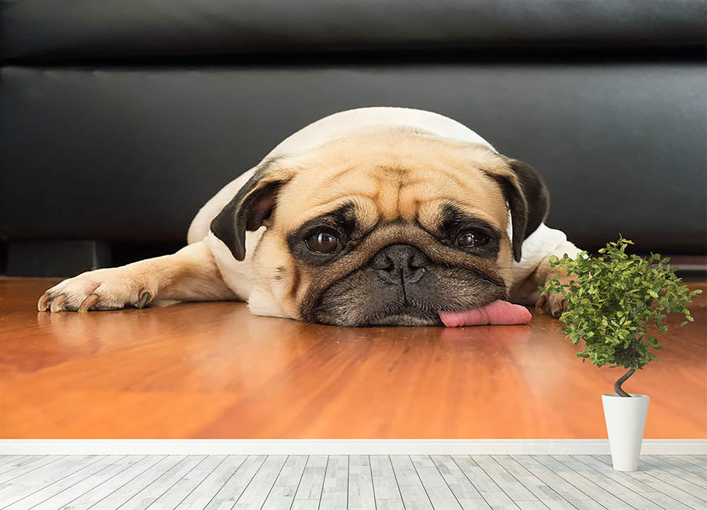 Close-up face of Cute pug Wall Mural Wallpaper - Canvas Art Rocks - 4