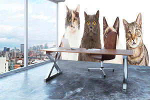 Close-up image of four different breed cats looking forward at the camera Wall Mural Wallpaper - Canvas Art Rocks - 3