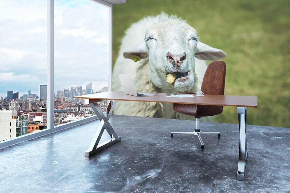 Close up head of sheep in farm Wall Mural Wallpaper - Canvas Art Rocks - 3