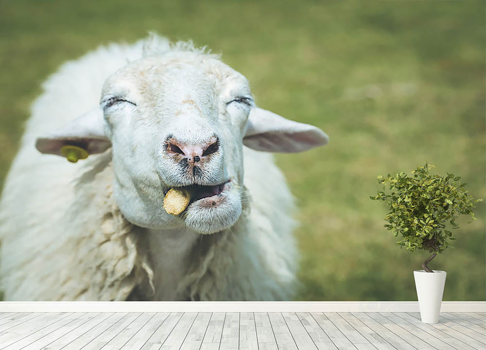 Close up head of sheep in farm Wall Mural Wallpaper - Canvas Art Rocks - 4