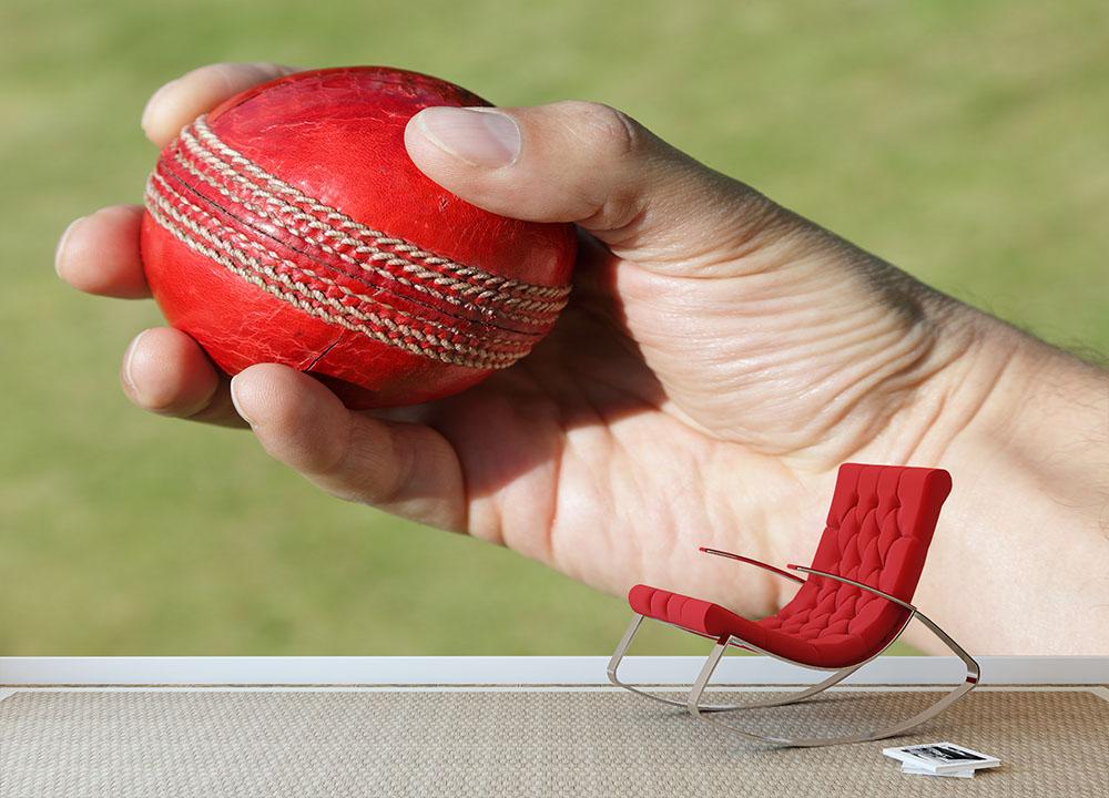 Cricket bowler about to bowl Wall Mural Wallpaper - Canvas Art Rocks - 2