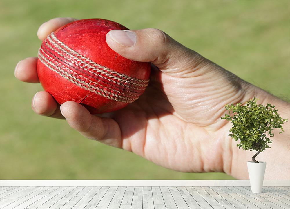 Cricket bowler about to bowl Wall Mural Wallpaper - Canvas Art Rocks - 4