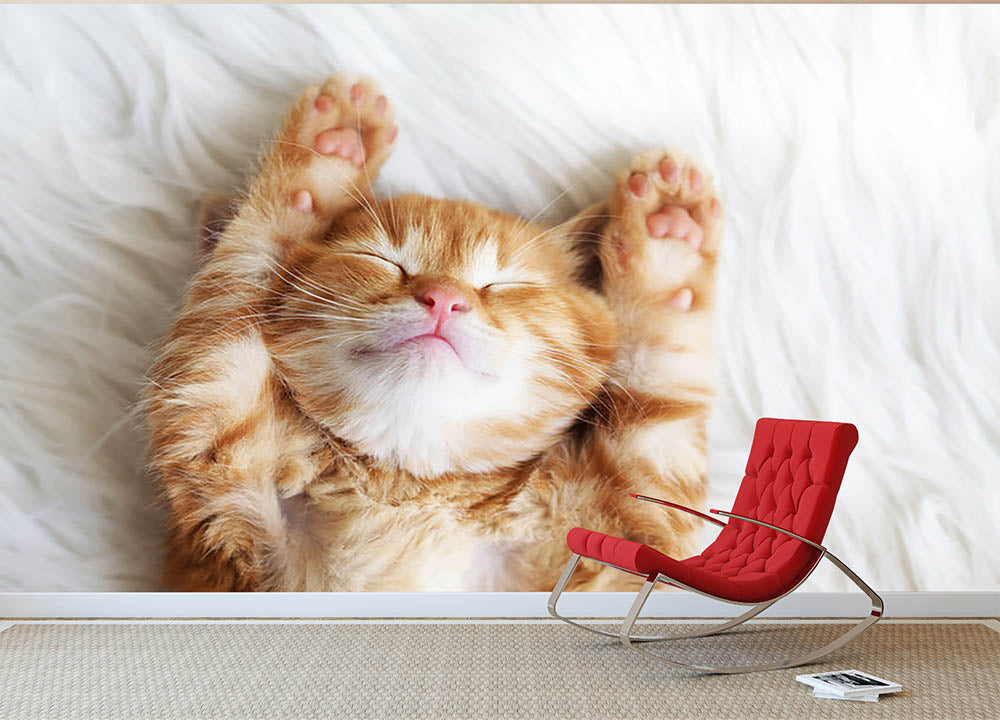 Cute little red kitten sleeps on fur white blanket Wall Mural Wallpaper - Canvas Art Rocks - 2