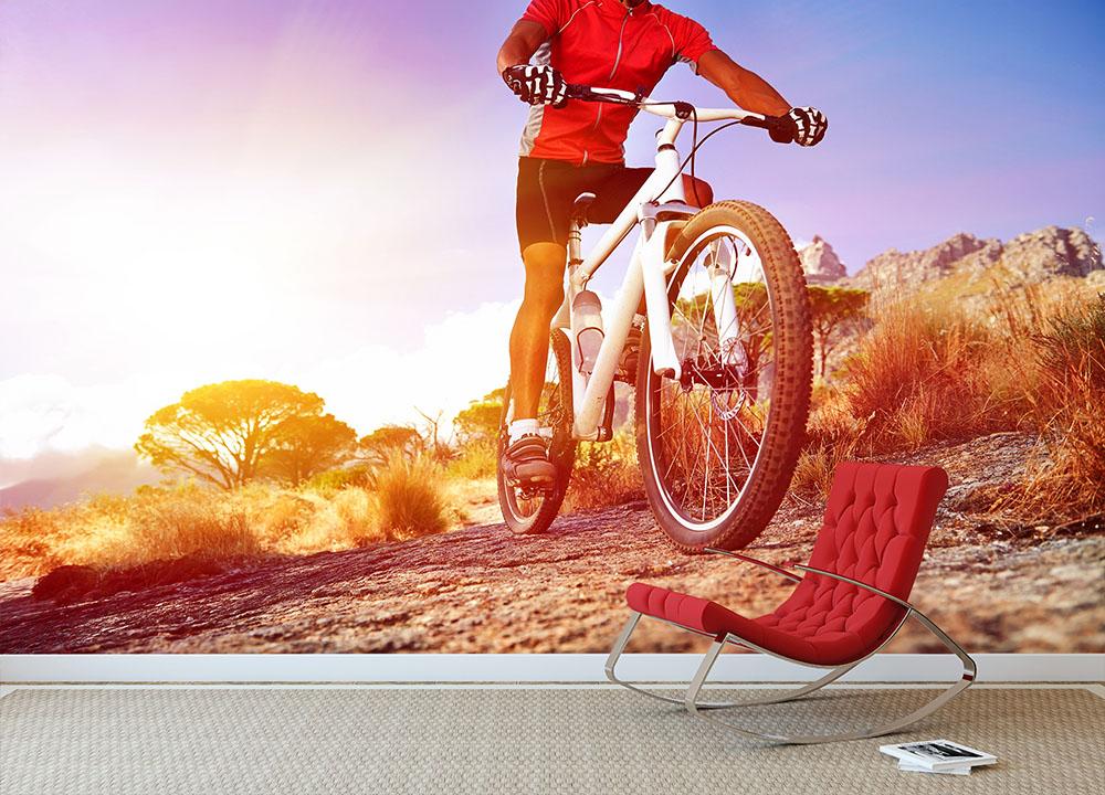 Cyclist riding mountain bike Wall Mural Wallpaper - Canvas Art Rocks - 2