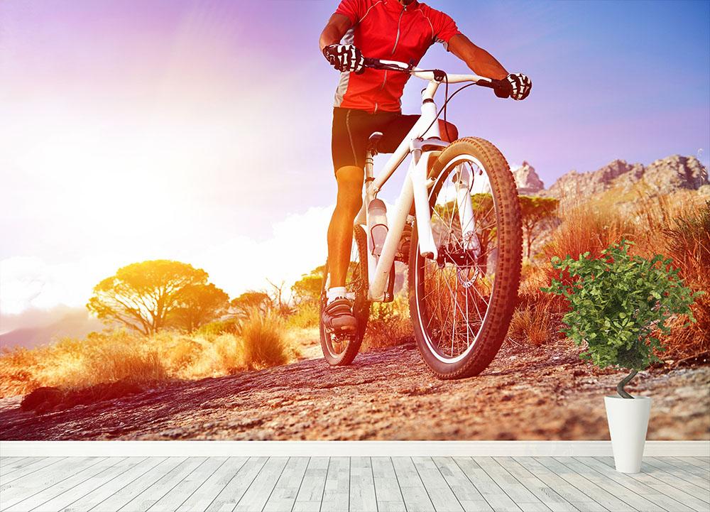 Cyclist riding mountain bike Wall Mural Wallpaper - Canvas Art Rocks - 4