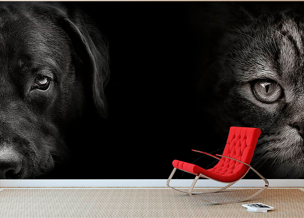 Dark muzzle labrador dog and cat Wall Mural Wallpaper - Canvas Art Rocks - 2