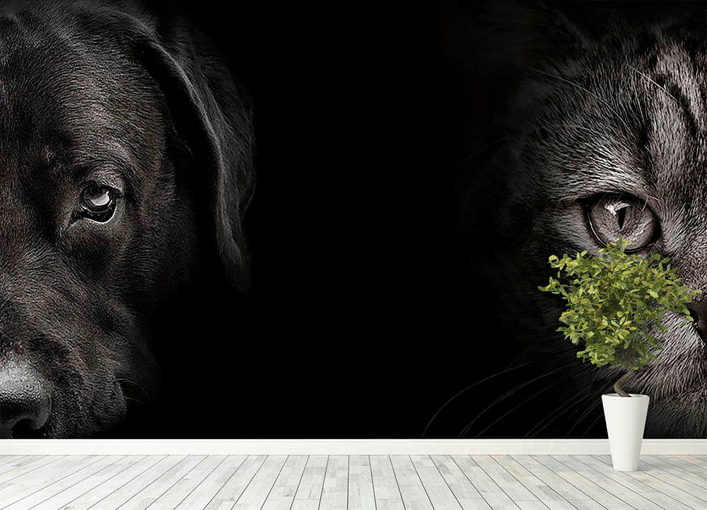 Dark muzzle labrador dog and cat Wall Mural Wallpaper - Canvas Art Rocks - 4