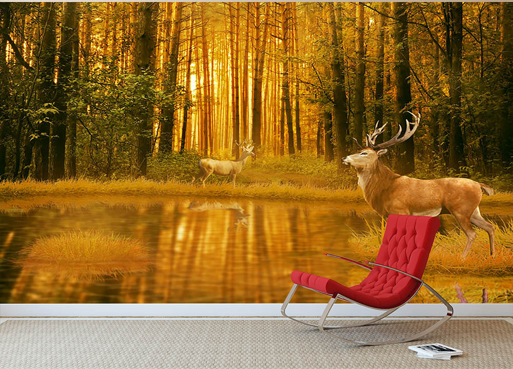 Deer Bucks in summer sunset Wall Mural Wallpaper - Canvas Art Rocks - 2