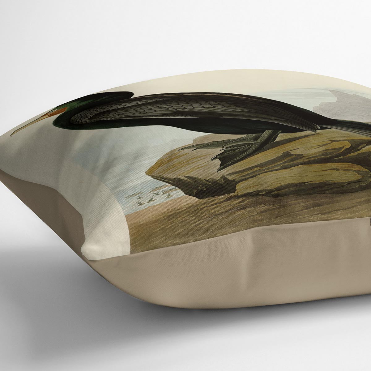 Double crested Cormorant by Audubon Cushion