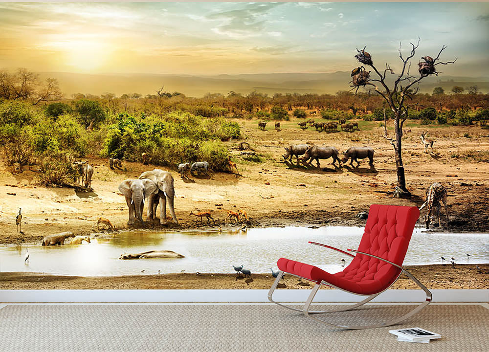 Dreamy scene of common South African safari Wall Mural Wallpaper - Canvas Art Rocks - 2