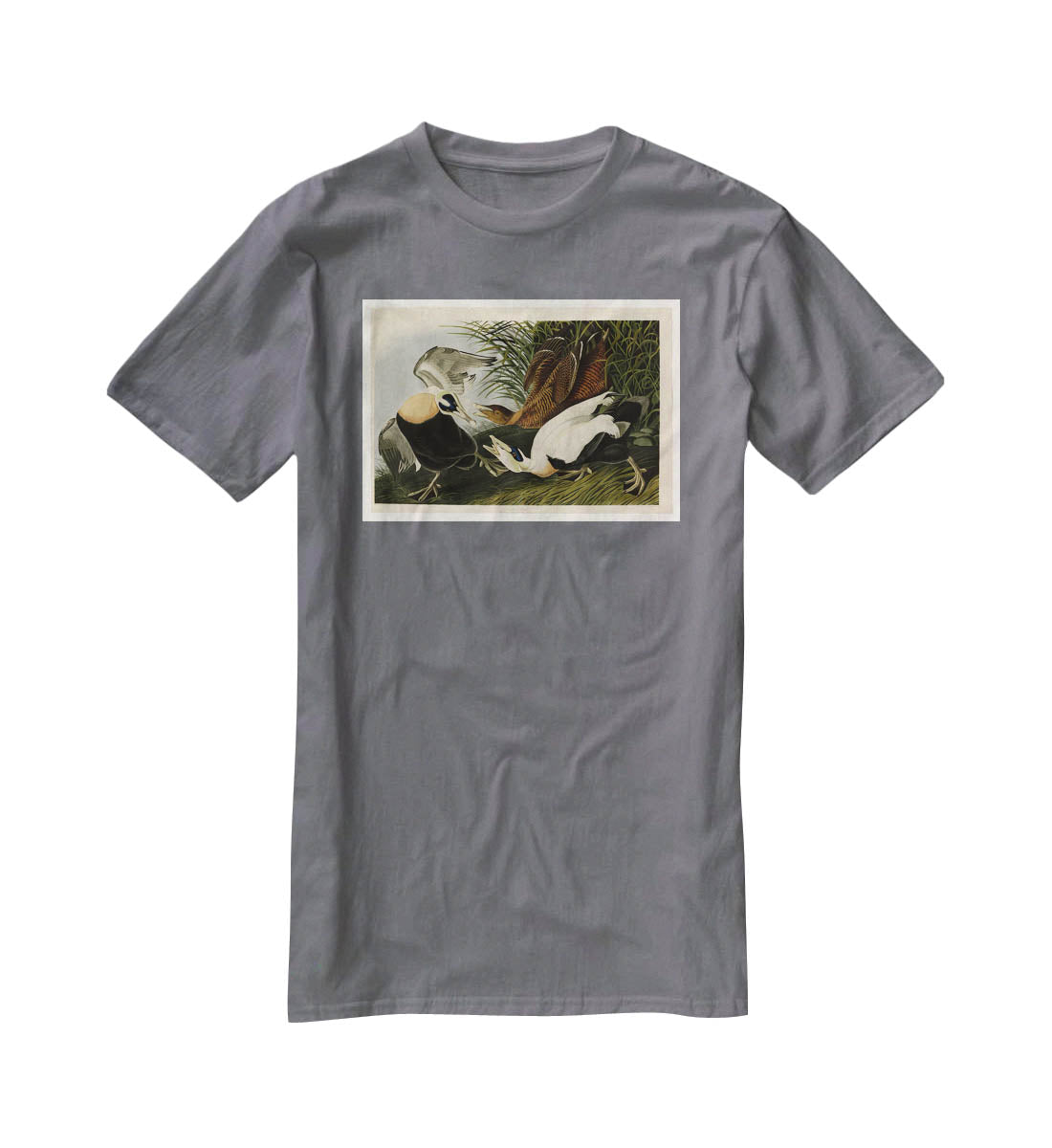 Eider Duck by Audubon T-Shirt - Canvas Art Rocks - 3