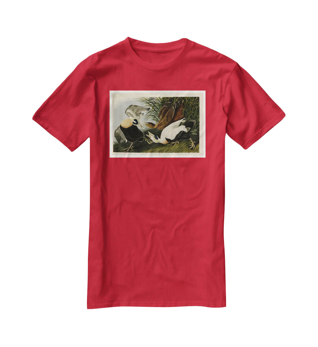 Eider Duck by Audubon T-Shirt - Canvas Art Rocks - 4