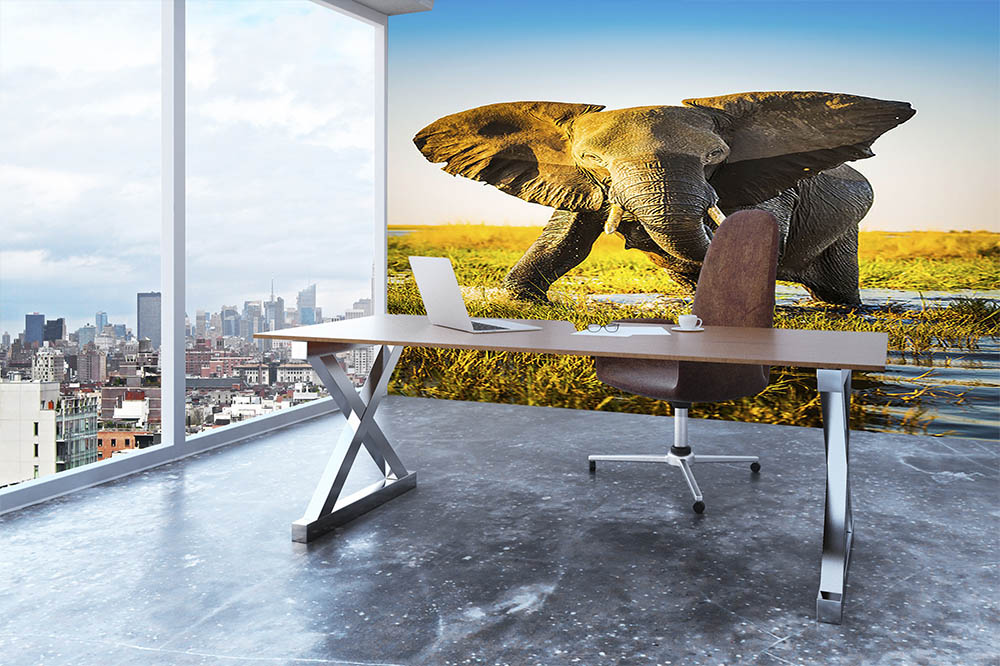 Elephant half wet in sunset light in Africa Wall Mural Wallpaper - Canvas Art Rocks - 3