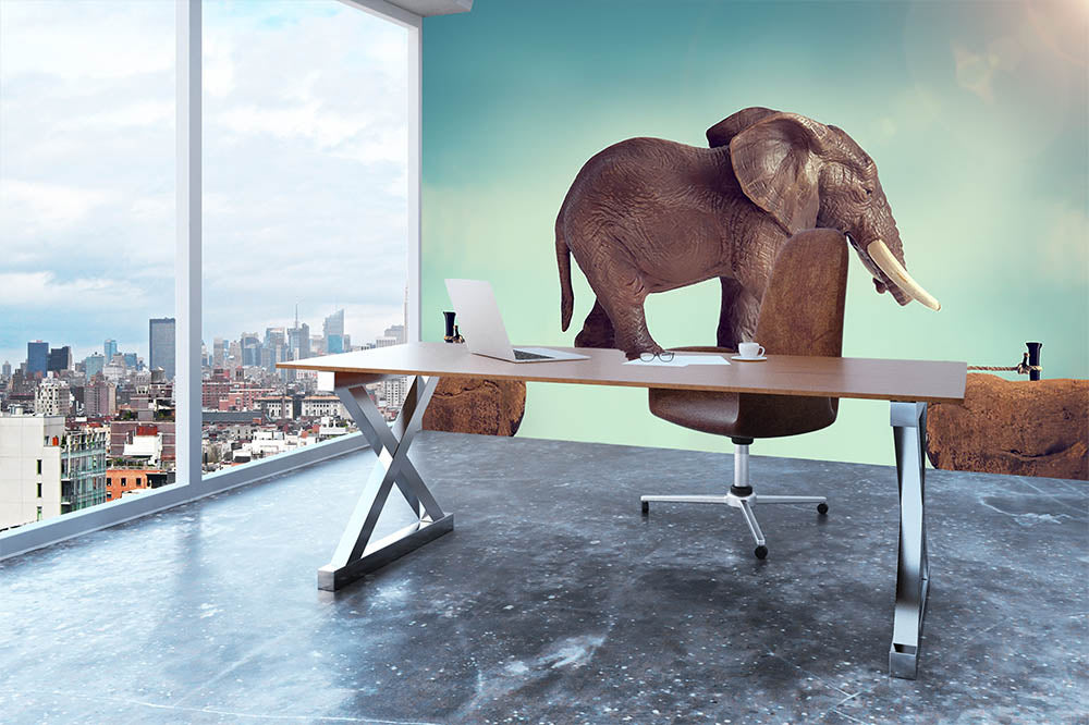 Elephant on a tightrope Wall Mural Wallpaper - Canvas Art Rocks - 3