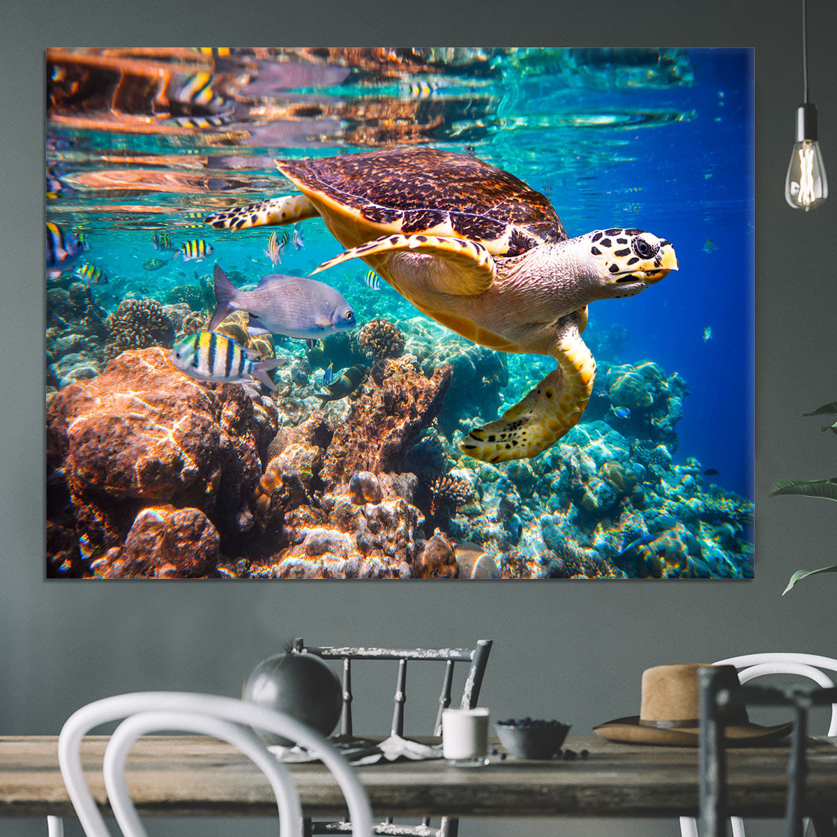 Eretmochelys imbricata Canvas Print or Poster - Canvas Art Rocks - 3
