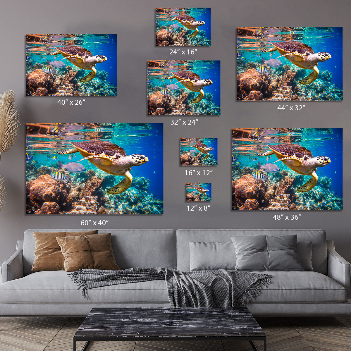 Eretmochelys imbricata Canvas Print or Poster - Canvas Art Rocks - 7