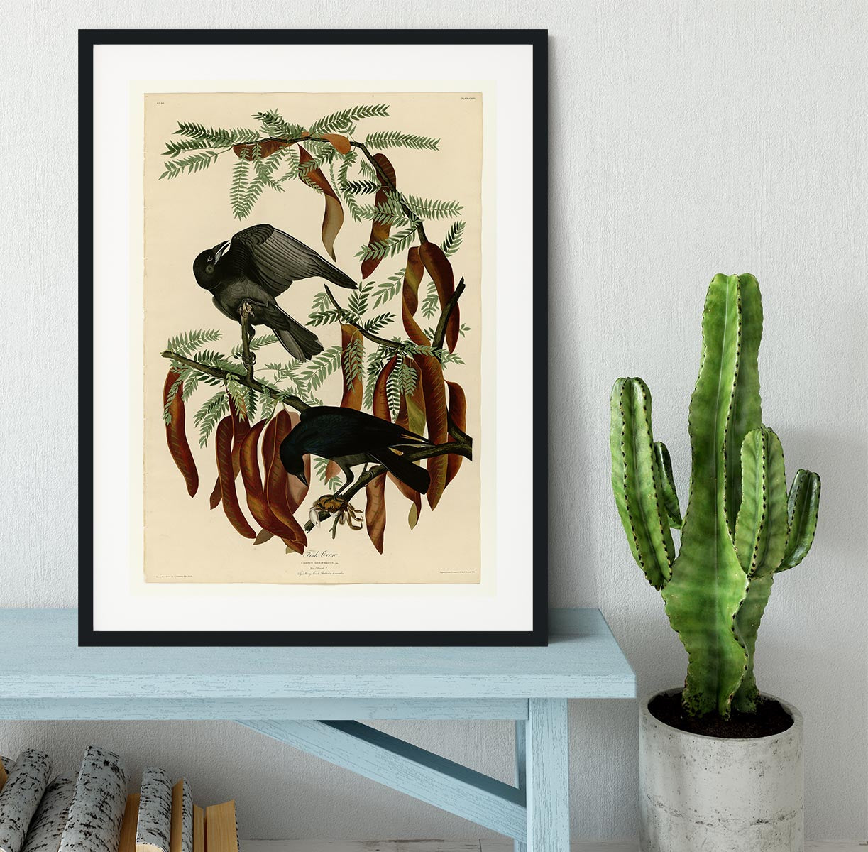 Fish Crow by Audubon Framed Print - Canvas Art Rocks - 1