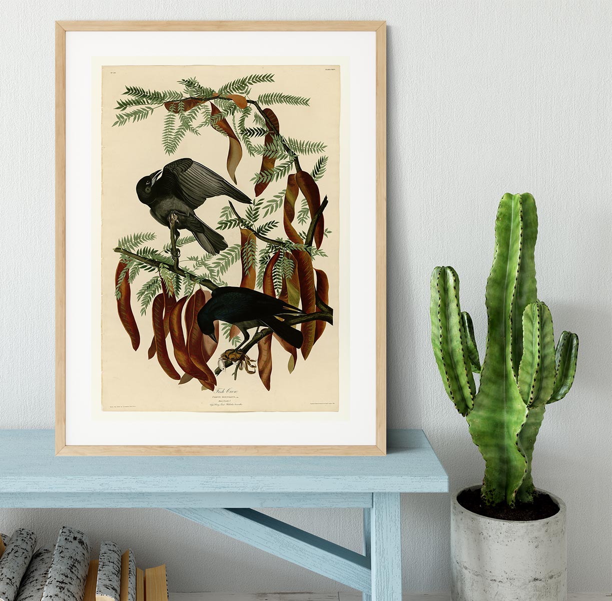 Fish Crow by Audubon Framed Print - Canvas Art Rocks - 3