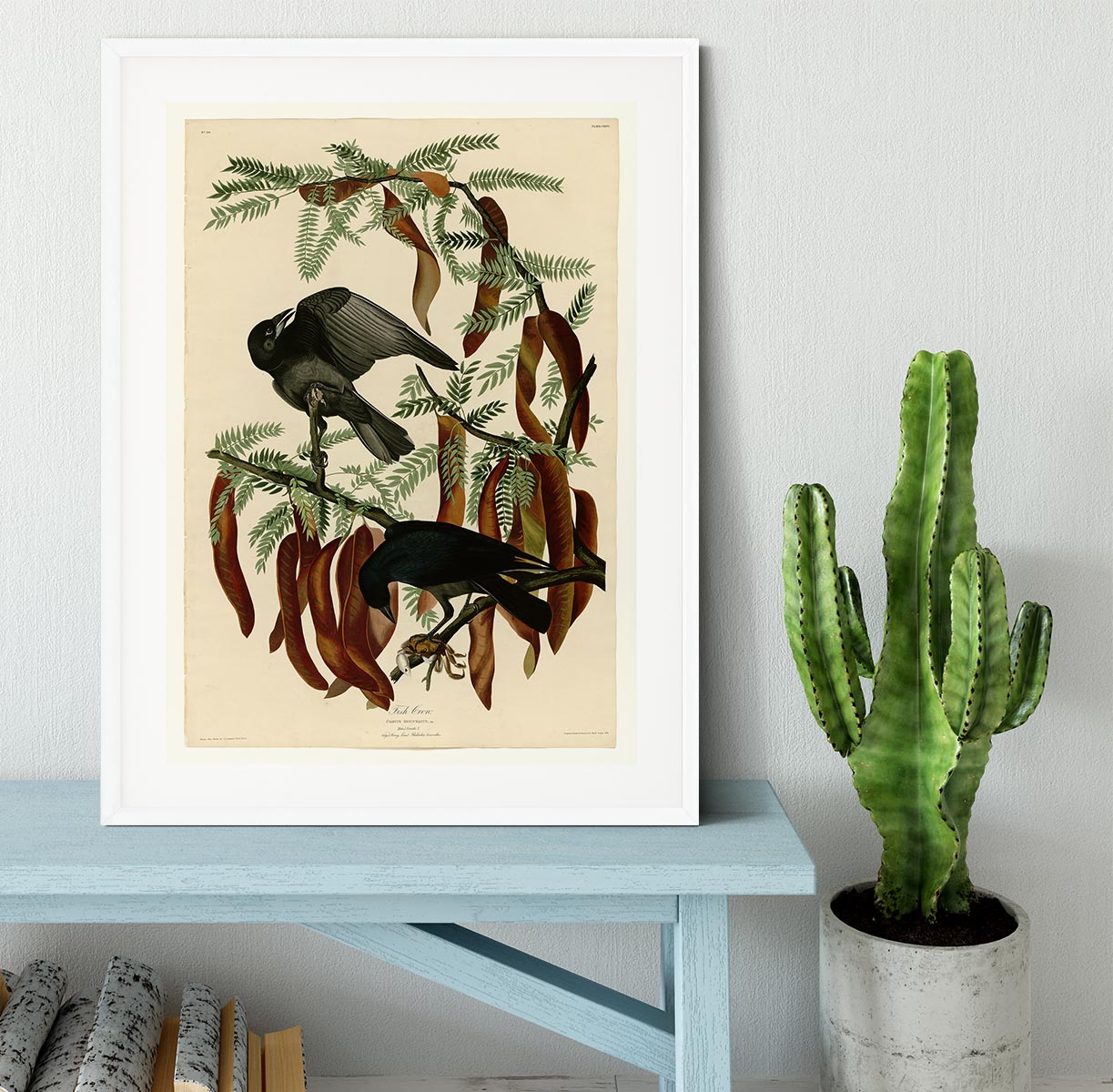 Fish Crow by Audubon Framed Print - Canvas Art Rocks - 5