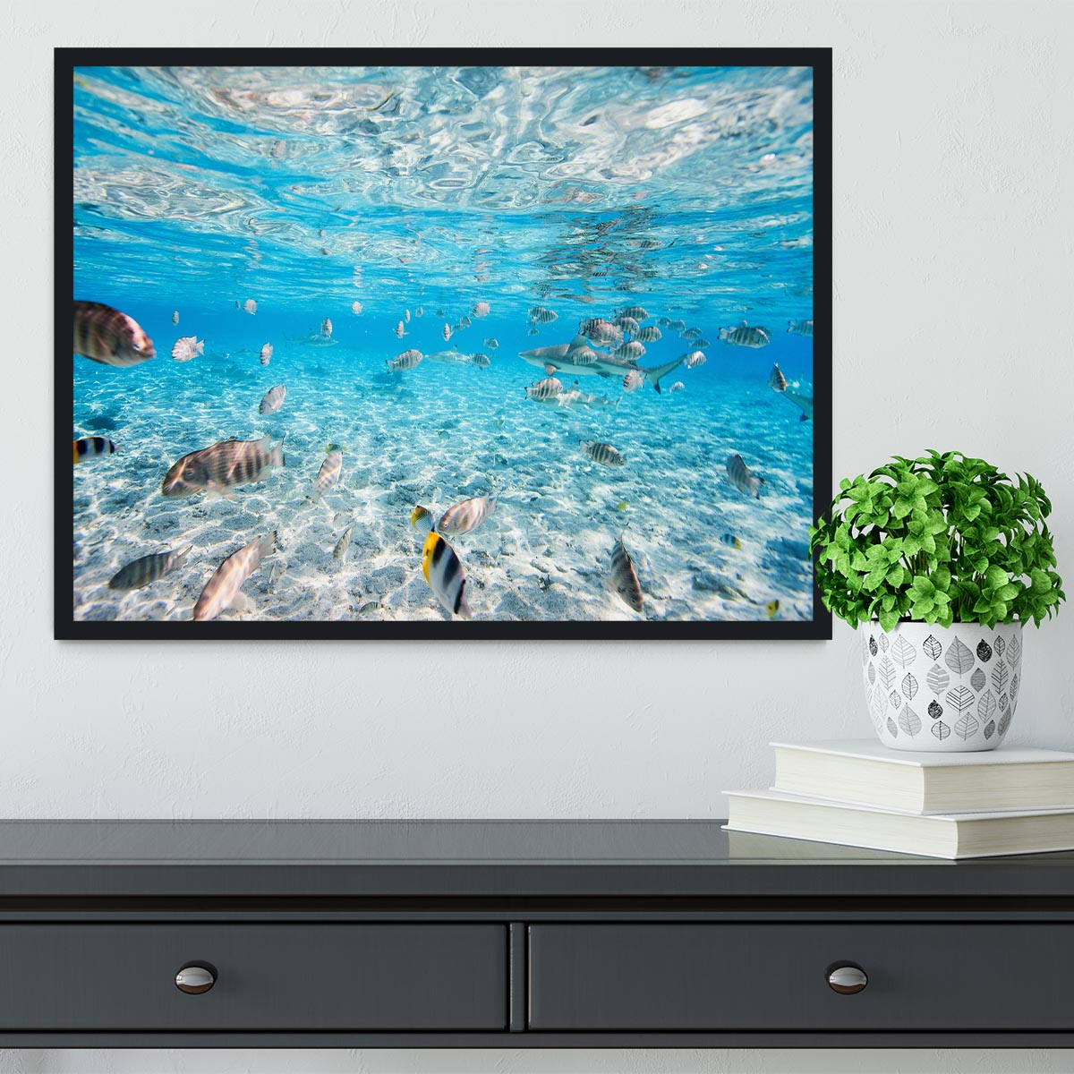 Fish and black tipped sharks Framed Print - Canvas Art Rocks - 2