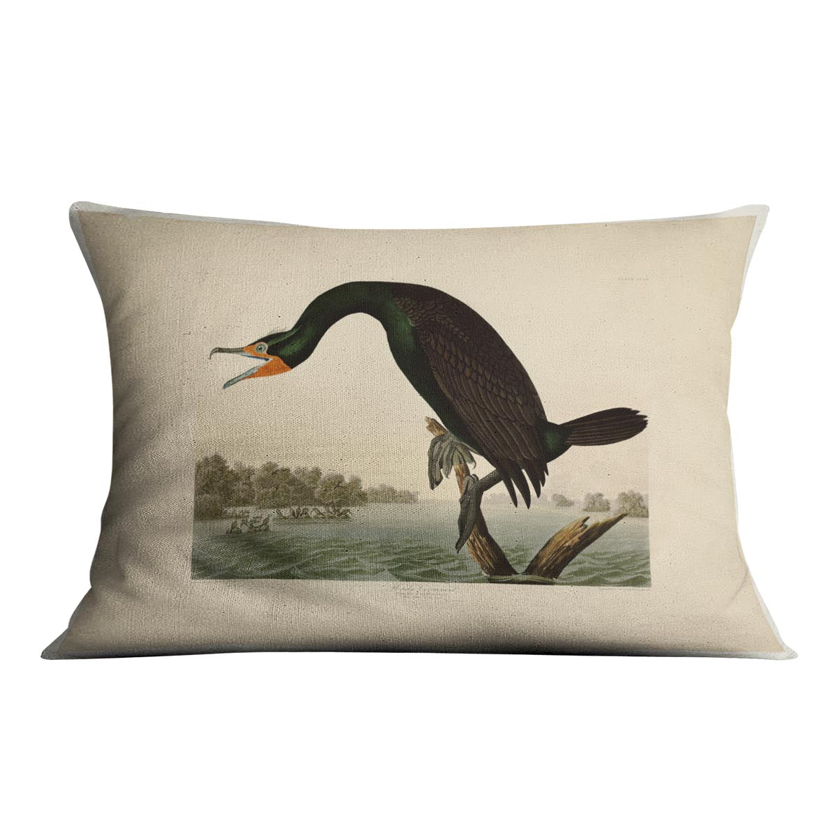 Florida Cormorant by Audubon Cushion