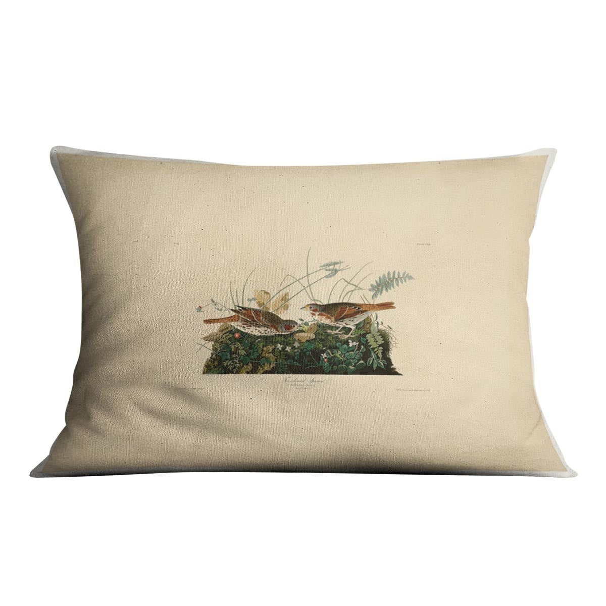 Fox coloured Sparrow by Audubon Cushion