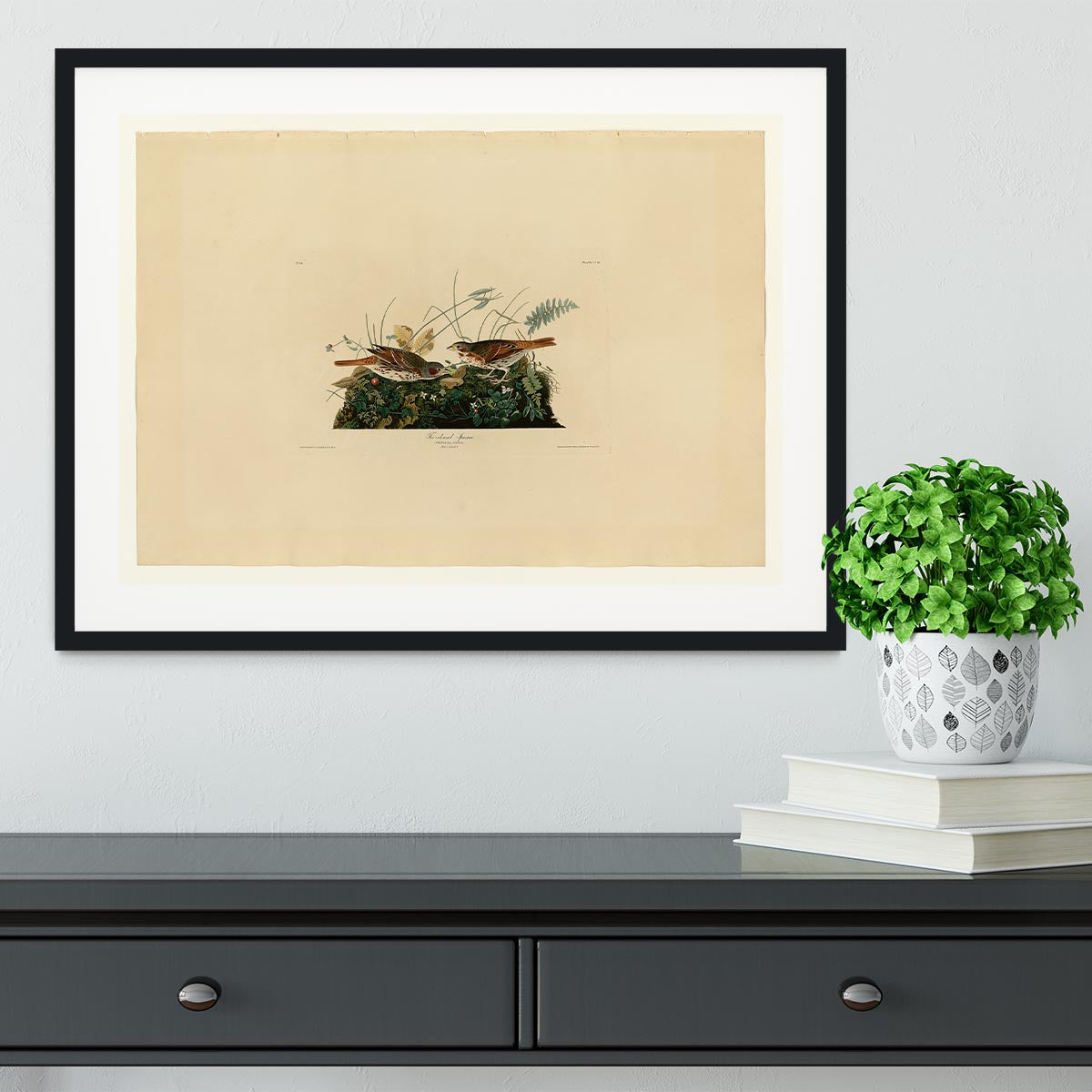 Fox coloured Sparrow by Audubon Framed Print - Canvas Art Rocks - 1